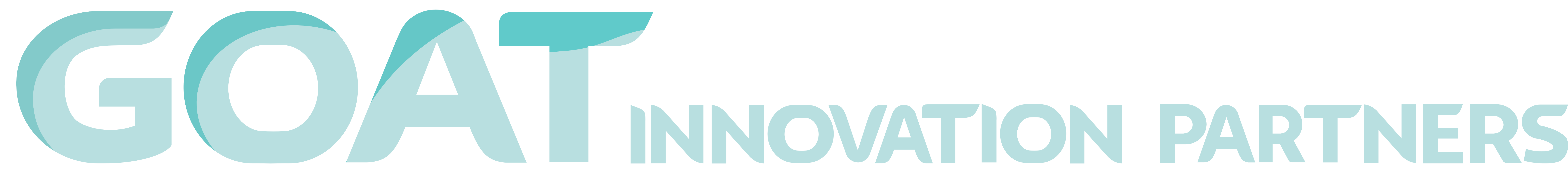 Innovation Partners